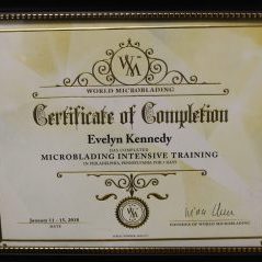 Eyebrow Microblading Certified 1/2018