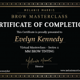 Brow Shaping Philadelphia- Willow Grove